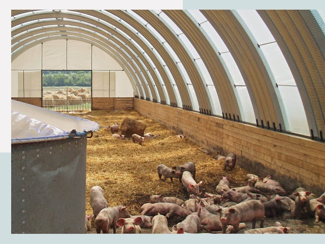 Строительство свинарников в Сочи